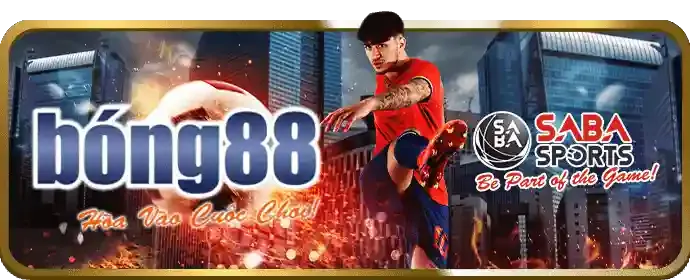 Hướng dẫn cá cược thể thao mp66 cho người mới